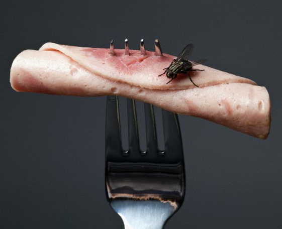 L’hygiène alimentaire en restauration commerciale